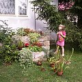 Sonia