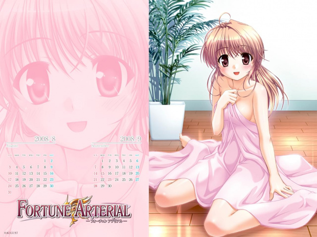 Fortune Arterial