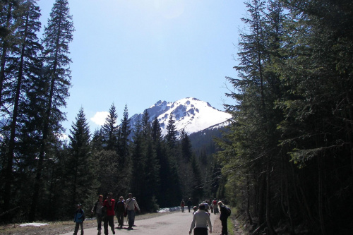 Droga na Morskie Oko