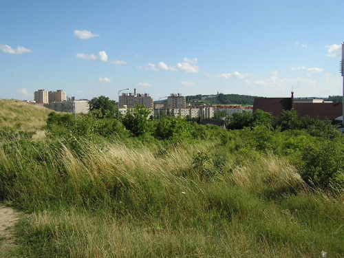 Widok na osiedle "Ślichowice", Kielce #osiedle #bloki