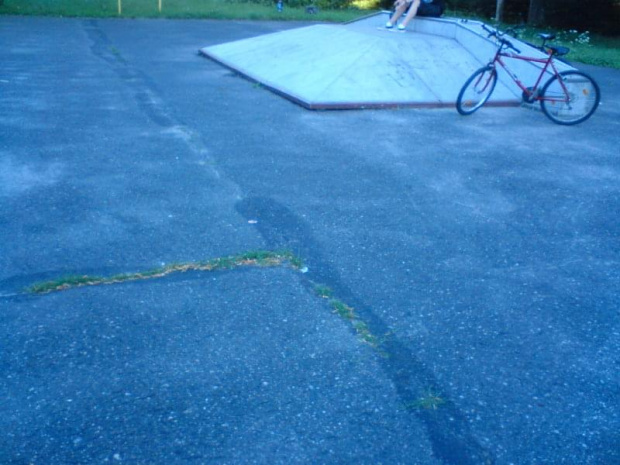 Skatepark? - smiech na sali #SkateparkDolinka