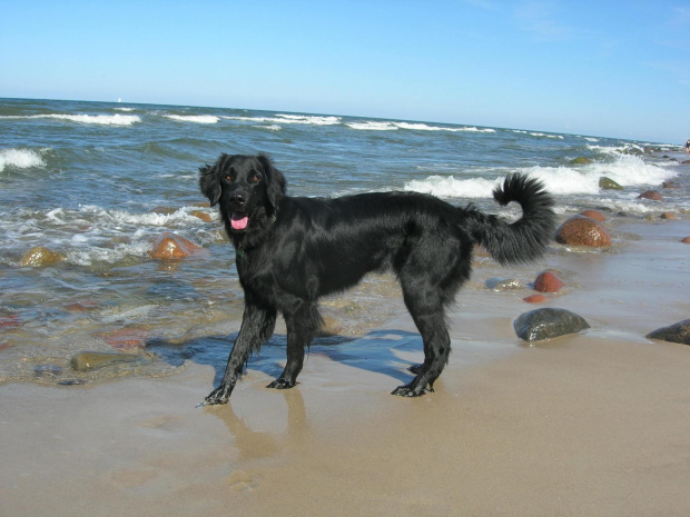 Na plaży w Jastrzębiej Górze