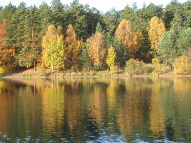 zalew Rejów jesienią