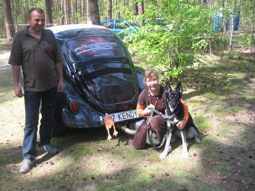 Na zlotach VW Mimi jeździ z nami #pies #psy #zwierzęta #samochody