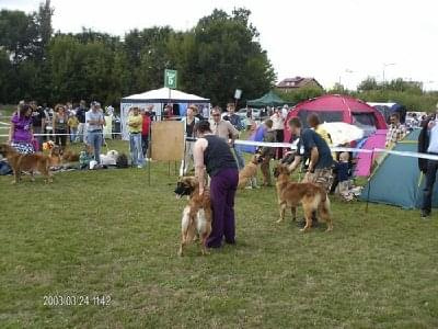 #leonberger #AptekaNatury