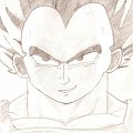 vegeta