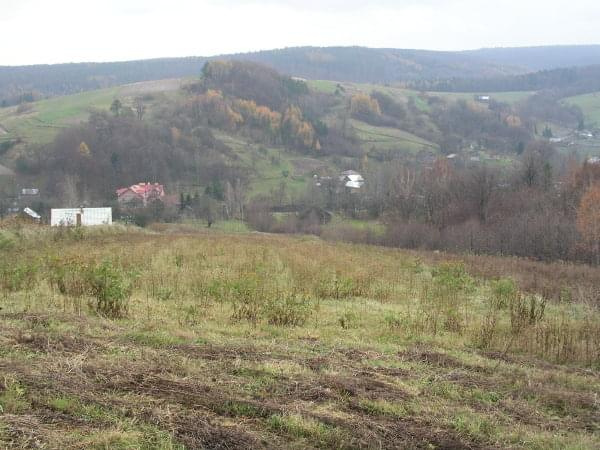 planowane miejsce na zakątek leśny