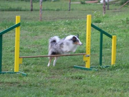 #Snickers_agility