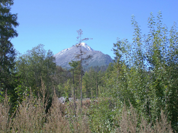 Lomnicki Stit, Skalnate Pleso