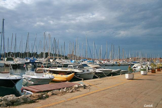 marina w Rovinji