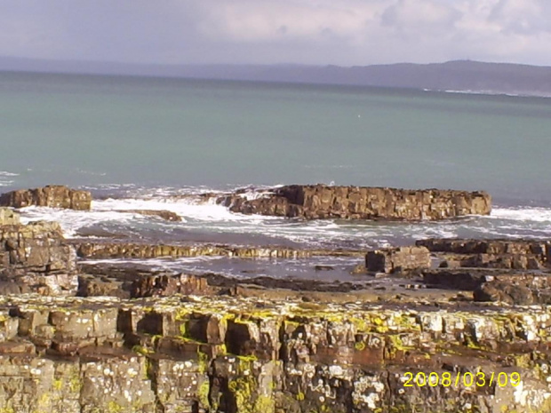 Portrush Irlandia Północna #Przyroda