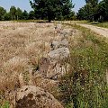 Bug. Głazy w rezerwacie Kózki #Bug