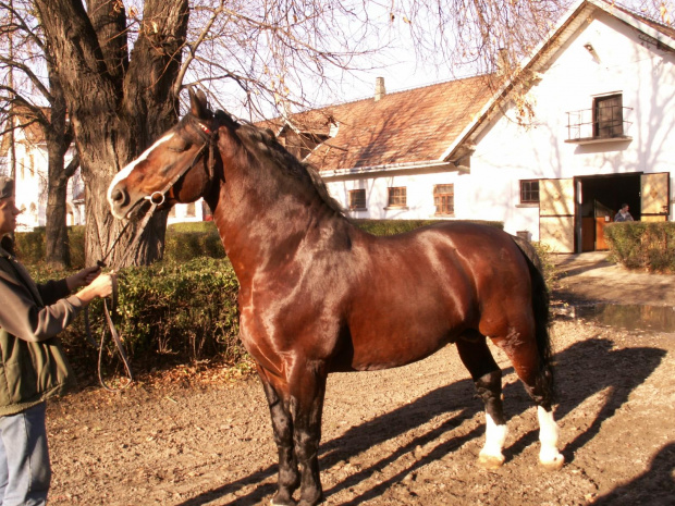 Bieszczady 2006