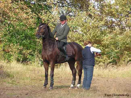 2008.10.18 Hubertus I