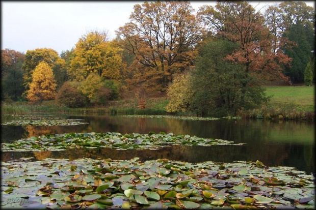 ...też rankiem...