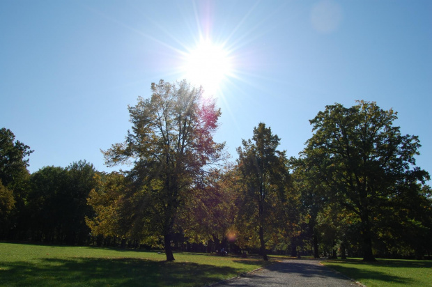 Park Legnica- jesień 2008 #park #Legnica #jesień