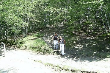 Horyniec 2007 #horyniec #motocykle #kbm #fido