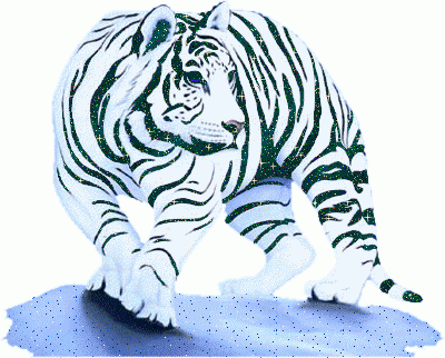 biały extra tygrysek ;) #gify