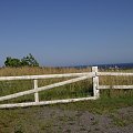 Na wyspie krajobrazy zmieniają się jak w kalejdoskopie. Widok po wyjściu z lasu Paradisbakkerne.