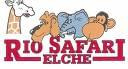 #elche #Hiszpania #safari #wakacje #wczasy #walencja