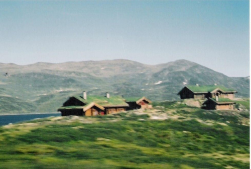 chatki pokryte darnią w Norwegii