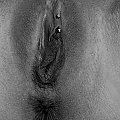 #sex