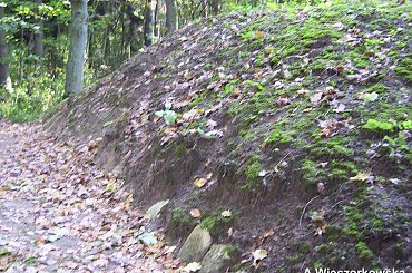 #grobowce #PucharyLejkowate #Sarnowo