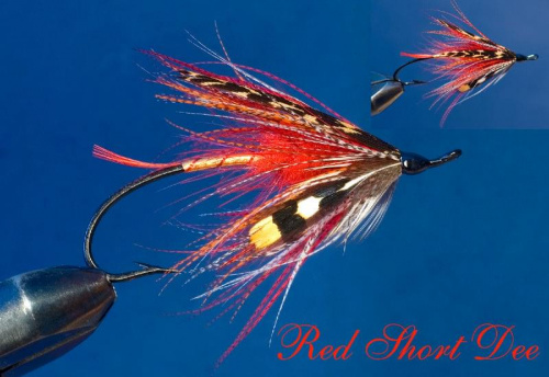 Red Short Dee 2