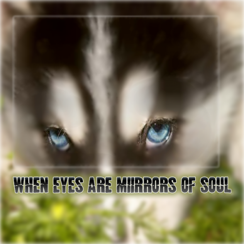 Mirrors of soul