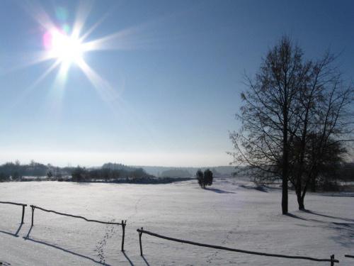 zima - okolice zamku w Chęcinach #zima #słońce