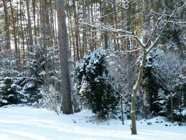 stko sprawdzą i uporządkuja to pojdziet