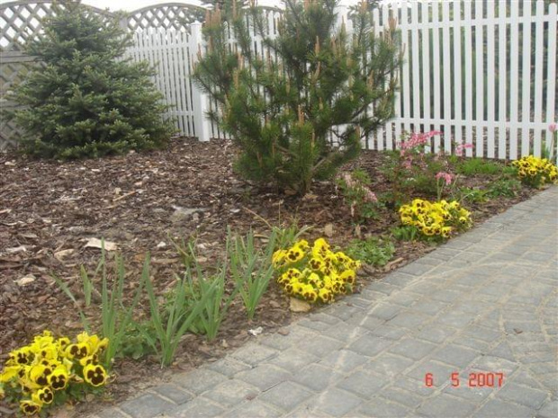Mój ogród 2007 styczeń-lipiec #OgródKrajobrazKwiaty
