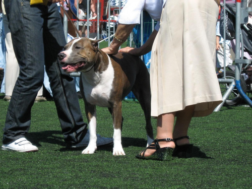 Gdynia 2007