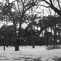 Park Black&White #park