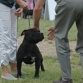 canaveral-staff agent
