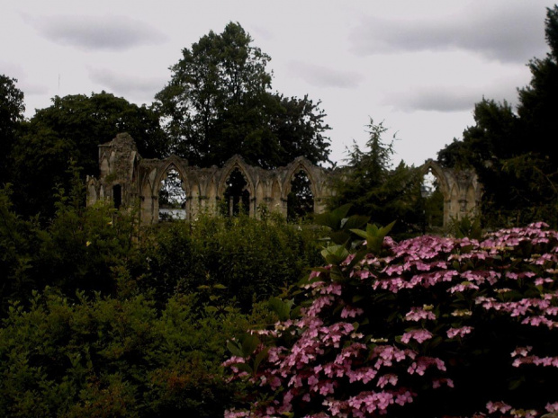 Museum Gardens - MG:) #ruiny #ogród #York