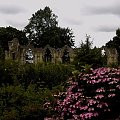 Museum Gardens - MG:) #ruiny #ogród #York