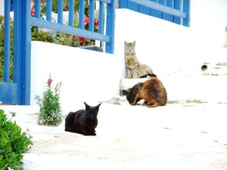 Amorgos, Chora