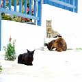 Amorgos, Chora