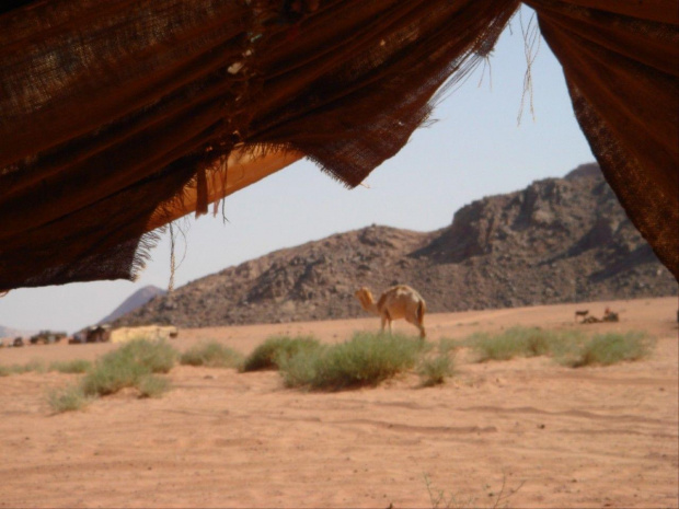 Wadi Rum (Jordania)