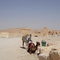 Palmira (Syria)