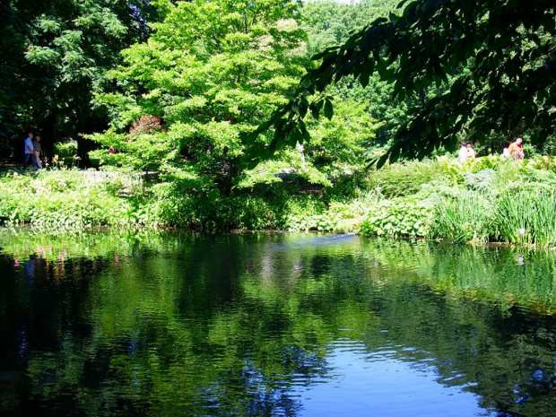 Dni parku Oliwskiego w Gdańsku - Lipiec 2007 #park #oliwa #gdańsk #ogród #botaniczny