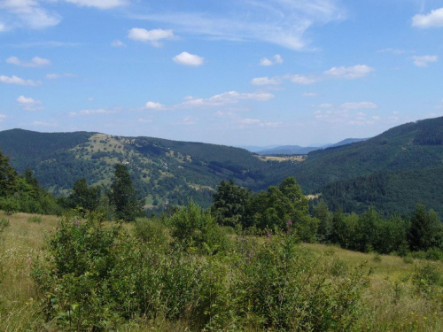 Beskid Żywiecki- Pasmo Jałowieckie. Czerniawa sucha(1062m.n.p.m.), Beskidek(1044),Hala Kamińskiego, Mędralowa(1169) Hala Mędralowa, Jaworzyniec(997). #BeskidŻywiecki #Jałowiec #Mędralowa #HalaKamińskiego #HalaMędralowa #CzerniawaSucha