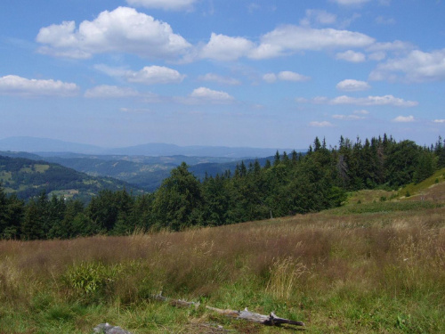 Beskid Żywiecki- Pasmo Jałowieckie. Czerniawa sucha(1062m.n.p.m.), Beskidek(1044),Hala Kamińskiego, Mędralowa(1169) Hala Mędralowa, Jaworzyniec(997). #BeskidŻywiecki #Jałowiec #Mędralowa #HalaKamińskiego #HalaMędralowa #CzerniawaSucha