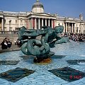 Trafalgar Square #Londyn