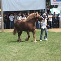 Szepietowo 23 czerwca 2007