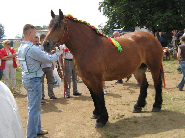 Szepietowo 23 czerwca 2007