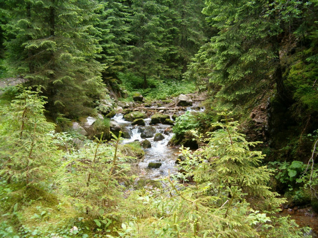 Tomanowy Potok #Tatry