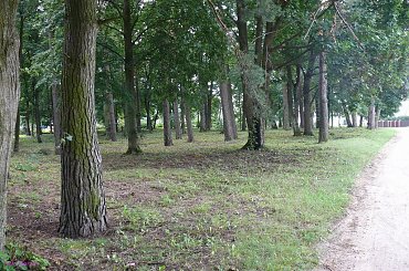 Cmentarz w Snopkach ( Wartendorf ) #Wartendorf #Snopki #CmentarzWSnopkach #MazurskieCmentarze #Mazury #Remes