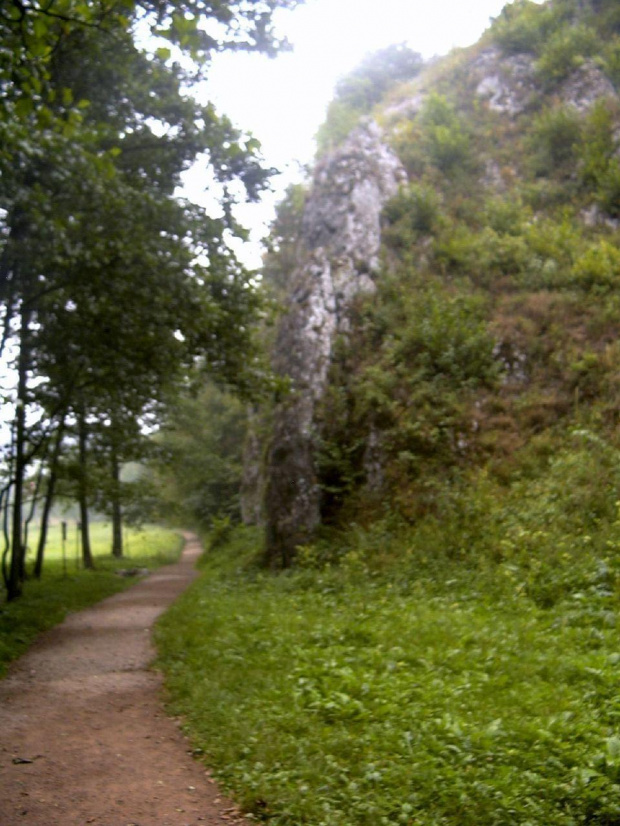 "...nowe ścieżki już wybrane a nad nimi stary kurz..." #skała #ścieżka #DolinaMnikowska